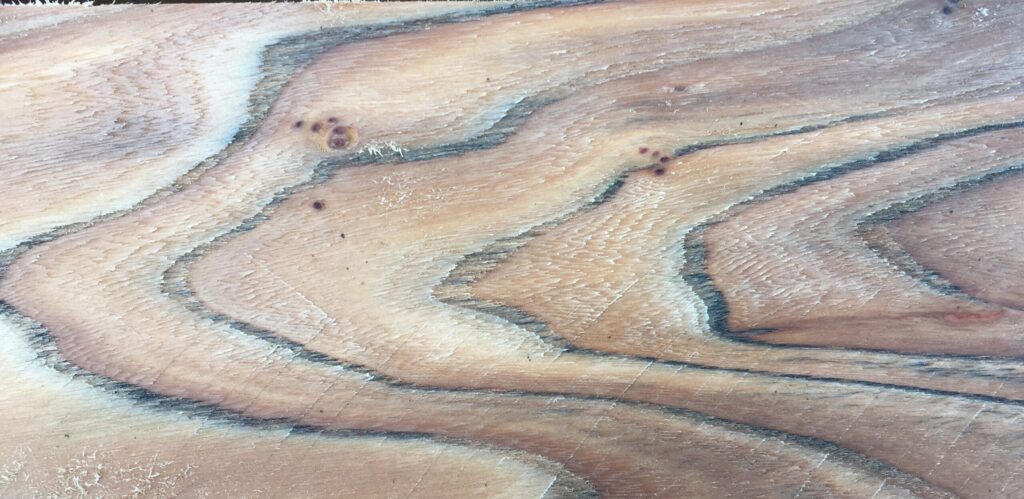 Olmenhout is hoogkwalitatief, karaktervol en kleurrijk. Willy Verbeke
